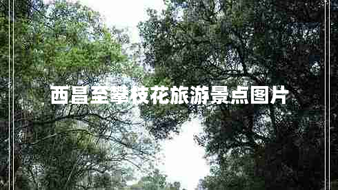 西昌至攀枝花旅游景點圖片 西昌至攀枝花旅游景點圖片