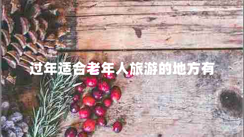 過(guò)年適合老年人旅游的地方有