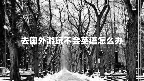 去國外游玩不會(huì)英語怎么辦