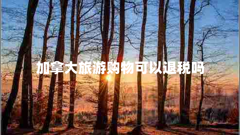 加拿大旅游購(gòu)物可以退稅嗎 加拿大旅游購(gòu)物可以退稅嗎
