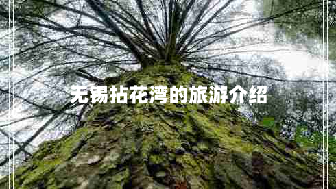 無(wú)錫拈花灣的旅游介紹