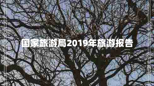 國(guó)家旅游局2019年旅游報(bào)告