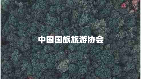 中國國旅旅游協(xié)會(huì)