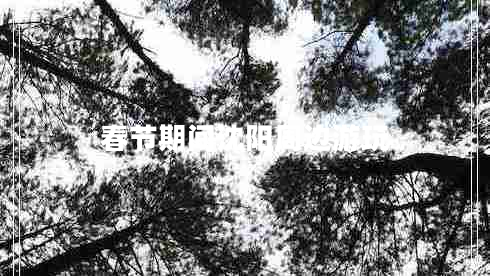 春節(jié)期間沈陽(yáng)周邊游玩