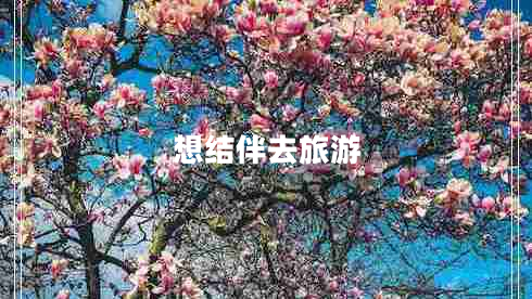 想結(jié)伴去旅游