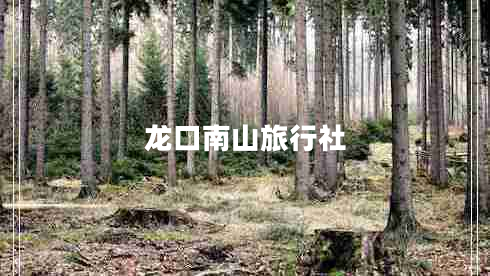 龍口南山旅行社