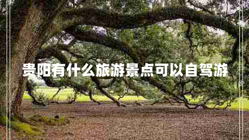 貴陽有什么旅游景點可以自駕游 貴陽有什么旅游景點可以自駕游