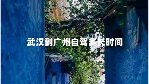 武漢到廣州自駕多長時間