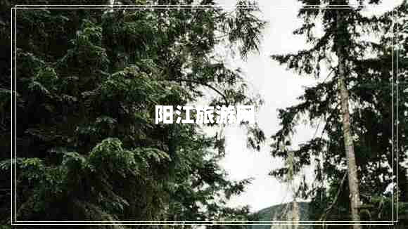 陽江旅游網(wǎng)