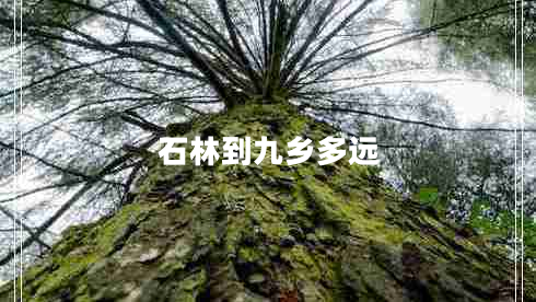 石林到九鄉(xiāng)多遠(yuǎn) 石林到九鄉(xiāng)多遠(yuǎn)