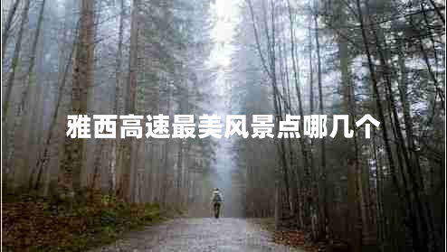 雅西高速最美風(fēng)景點(diǎn)哪幾個(gè)