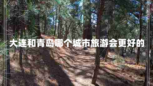 大連和青島哪個(gè)城市旅游會(huì)更好的 大連和青島哪個(gè)城市旅游會(huì)更好的