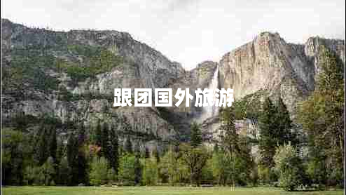 跟團(tuán)國外旅游