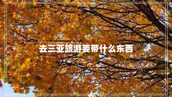 去三亞旅游要帶什么東西