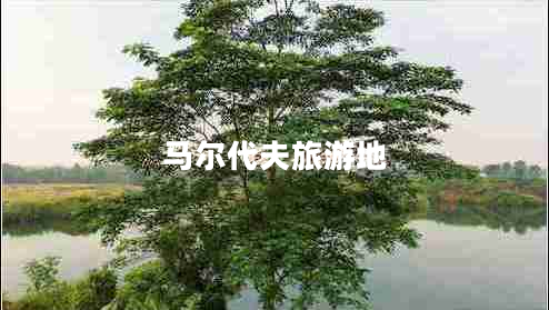 馬爾代夫旅游地 馬爾代夫旅游地