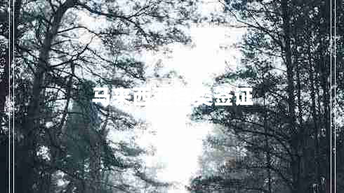 馬來西亞各類簽證 馬來西亞各類簽證