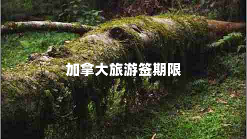 加拿大旅游簽期限