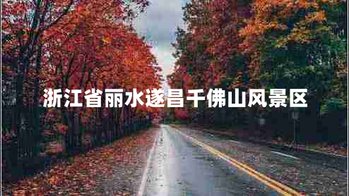 浙江省麗水遂昌千佛山風(fēng)景區(qū)