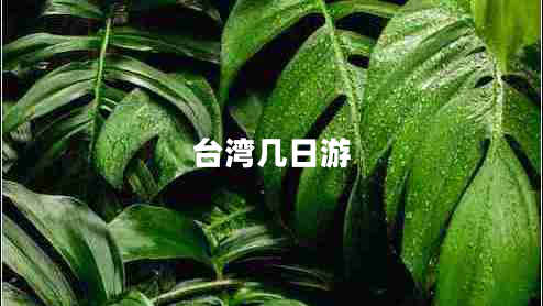 臺(tái)灣幾日游 臺(tái)灣幾日游