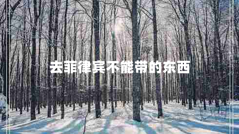 去菲律賓不能帶的東西 去菲律賓不能帶的東西