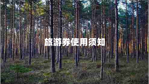 旅游券使用須知