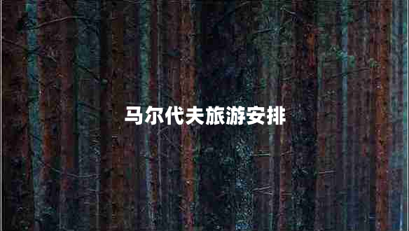 馬爾代夫旅游安排