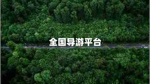 全國導(dǎo)游平臺