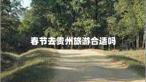 春節(jié)去貴州旅游合適嗎