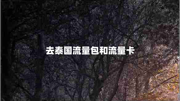 去泰國流量包和流量卡