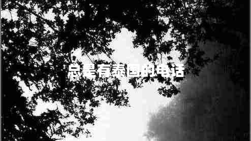 總是有泰國(guó)的電話(huà) 總是有泰國(guó)的電話(huà)