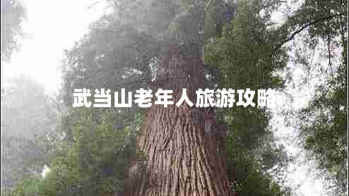 武當山老年人旅游攻略