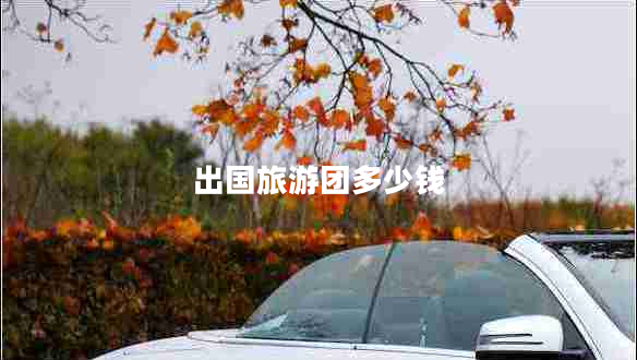 出國旅游團(tuán)多少錢
