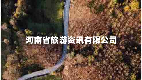 河南省旅游資訊有限公司