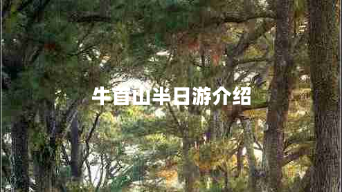牛首山半日游介紹 牛首山半日游介紹