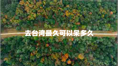 去臺灣最久可以呆多久