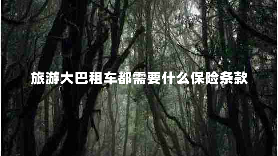 旅游大巴租車都需要什么保險條款
