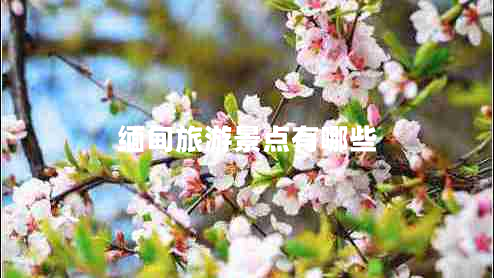 緬甸旅游景點(diǎn)有哪些