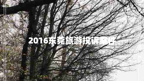 2016東莞旅游投訴案件 2016東莞旅游投訴案件