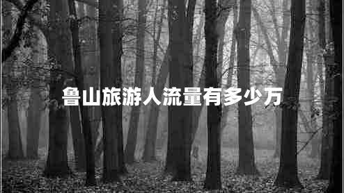 魯山旅游人流量有多少萬 魯山旅游人流量有多少萬