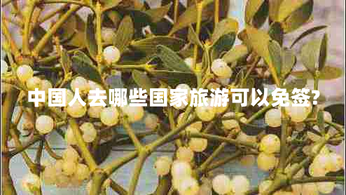 中國(guó)人去哪些國(guó)家旅游可以免簽?