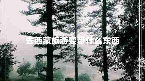 去西藏旅游要帶什么東西 去西藏旅游要帶什么東西