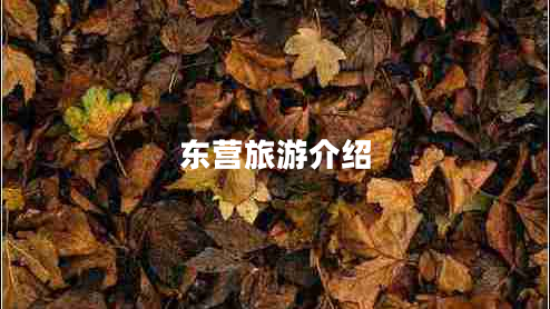 東營(yíng)旅游介紹