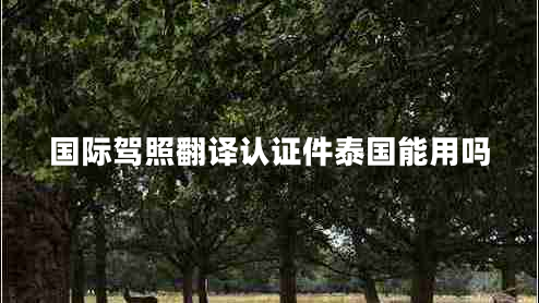 國際駕照翻譯認(rèn)證件泰國能用嗎