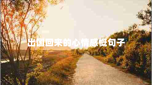 出國(guó)回來(lái)的心情感慨句子