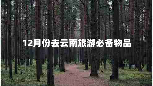 12月份去云南旅游必備物品