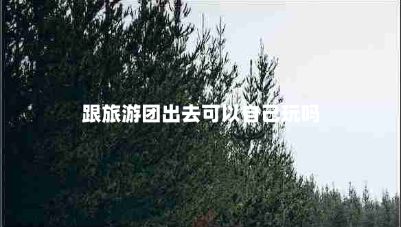 跟旅游團(tuán)出去可以自己玩嗎