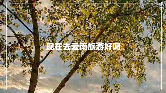 現(xiàn)在去云南旅游好嗎