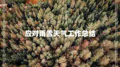 應對雨雪天氣工作總結
