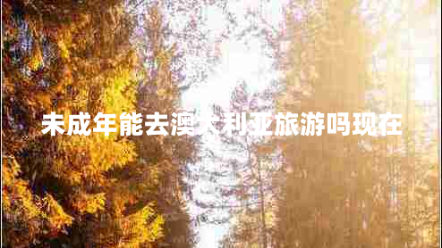 未成年能去澳大利亞旅游嗎現(xiàn)在