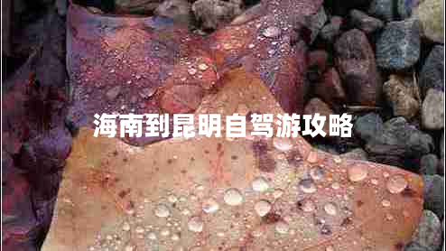 海南到昆明自駕游攻略